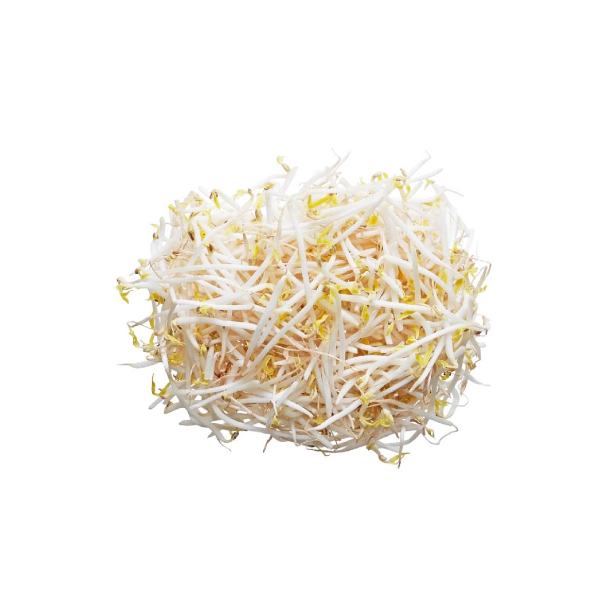 Beans Sprout Uae 500g