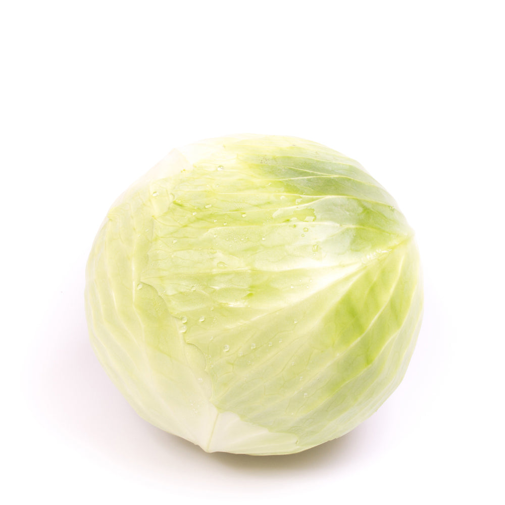Cabbage White Netherlands 1.5-2Kg Piece