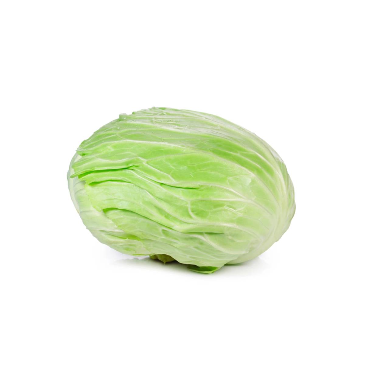 Cabbage White Flat Jordan 1.5-2.5Kg Piece