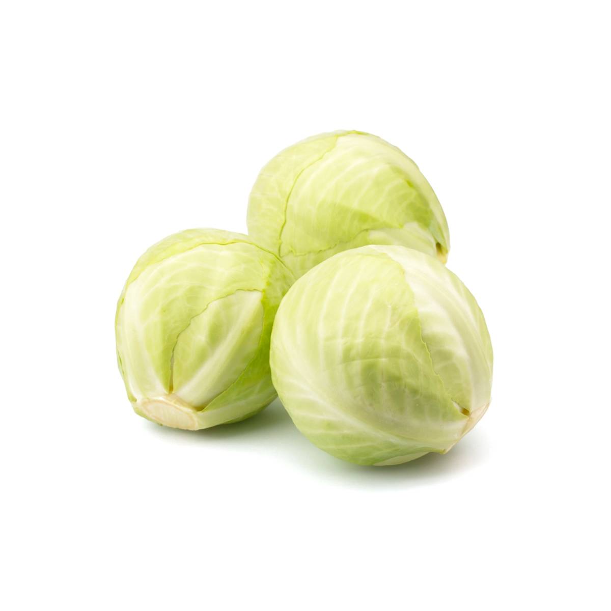 Cabbage Round Uae 1.5-2.5Kg Piece
