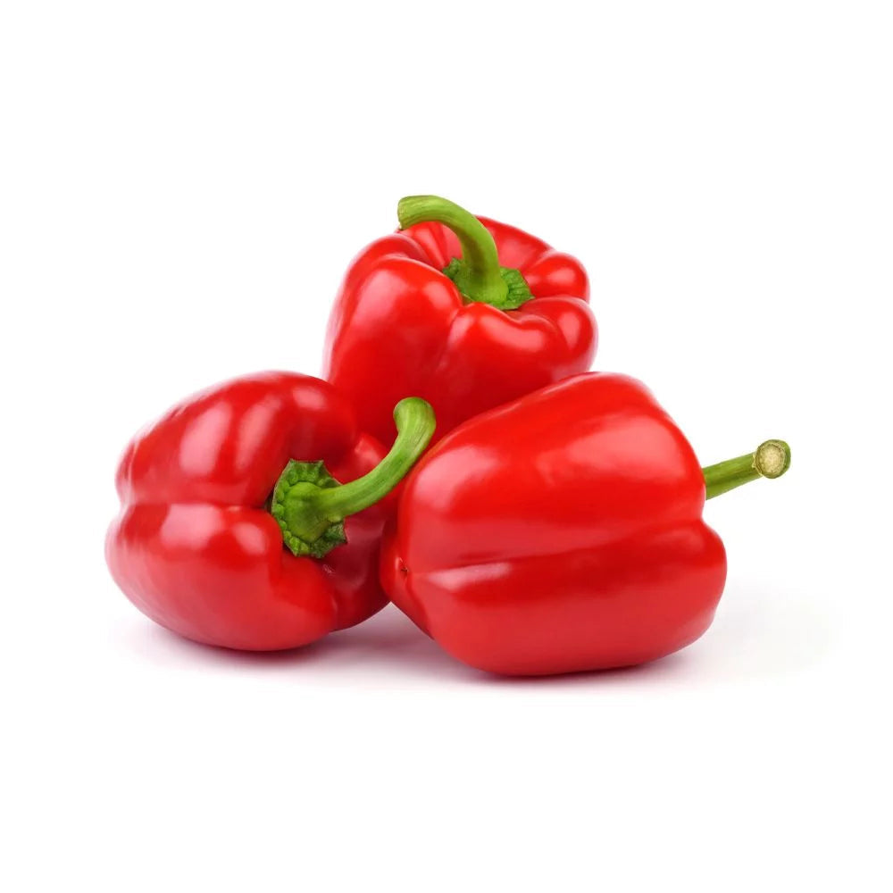 Capsicum Red Netherlands 500g