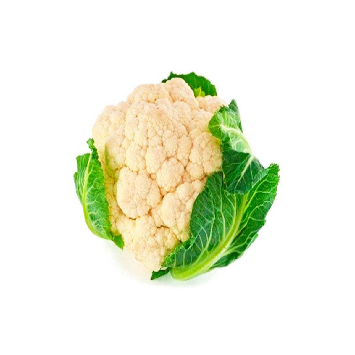 Cauliflower White Netherlands 800g-1200g Piece