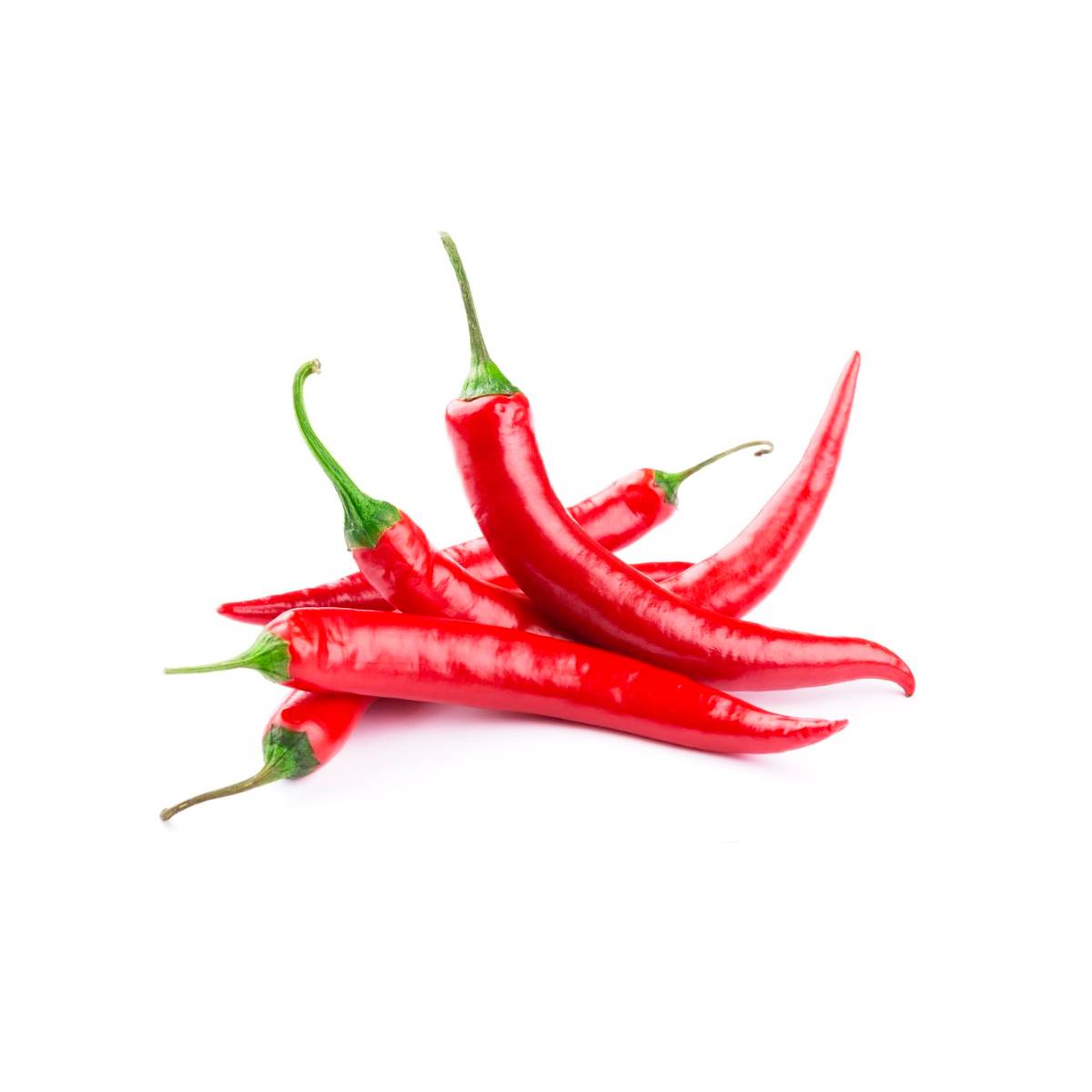 Long Red Chili Netherlands 300g Pack