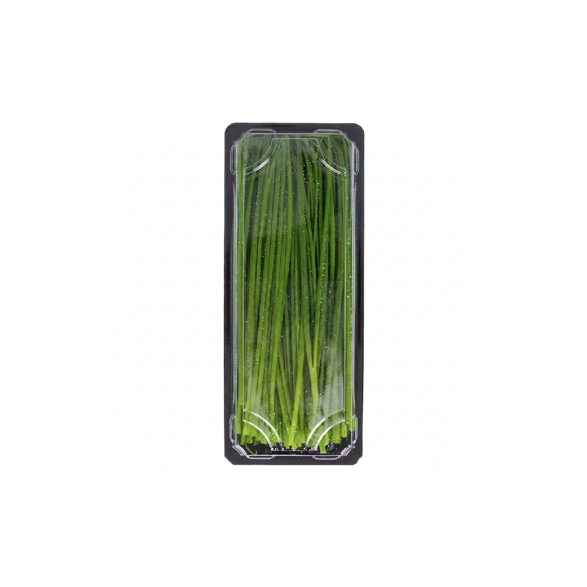Fresh Chives Kenya 50g Pack