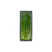 Fresh Chives Kenya 50g Pack
