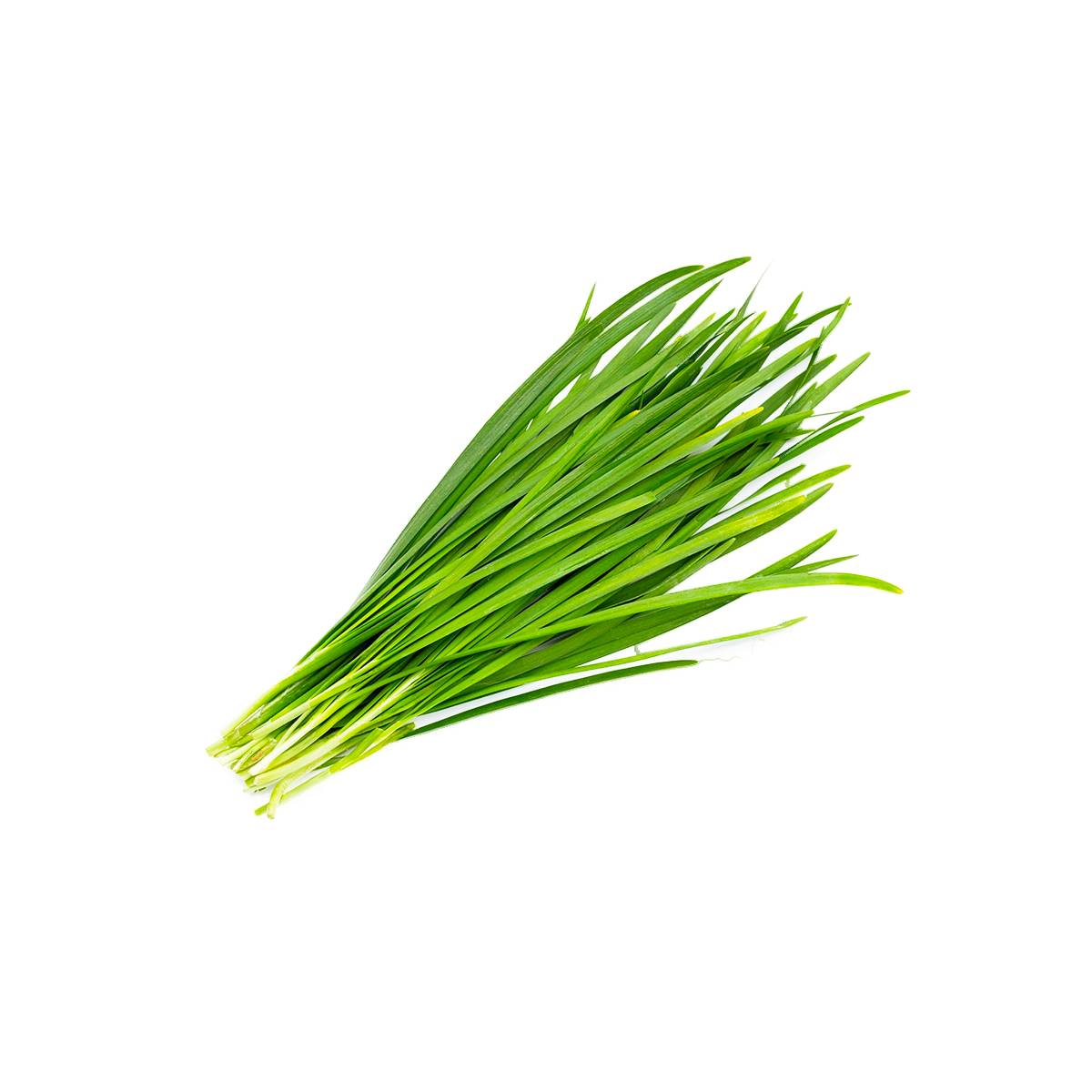 Fresh Chives Kenya 50g Pack