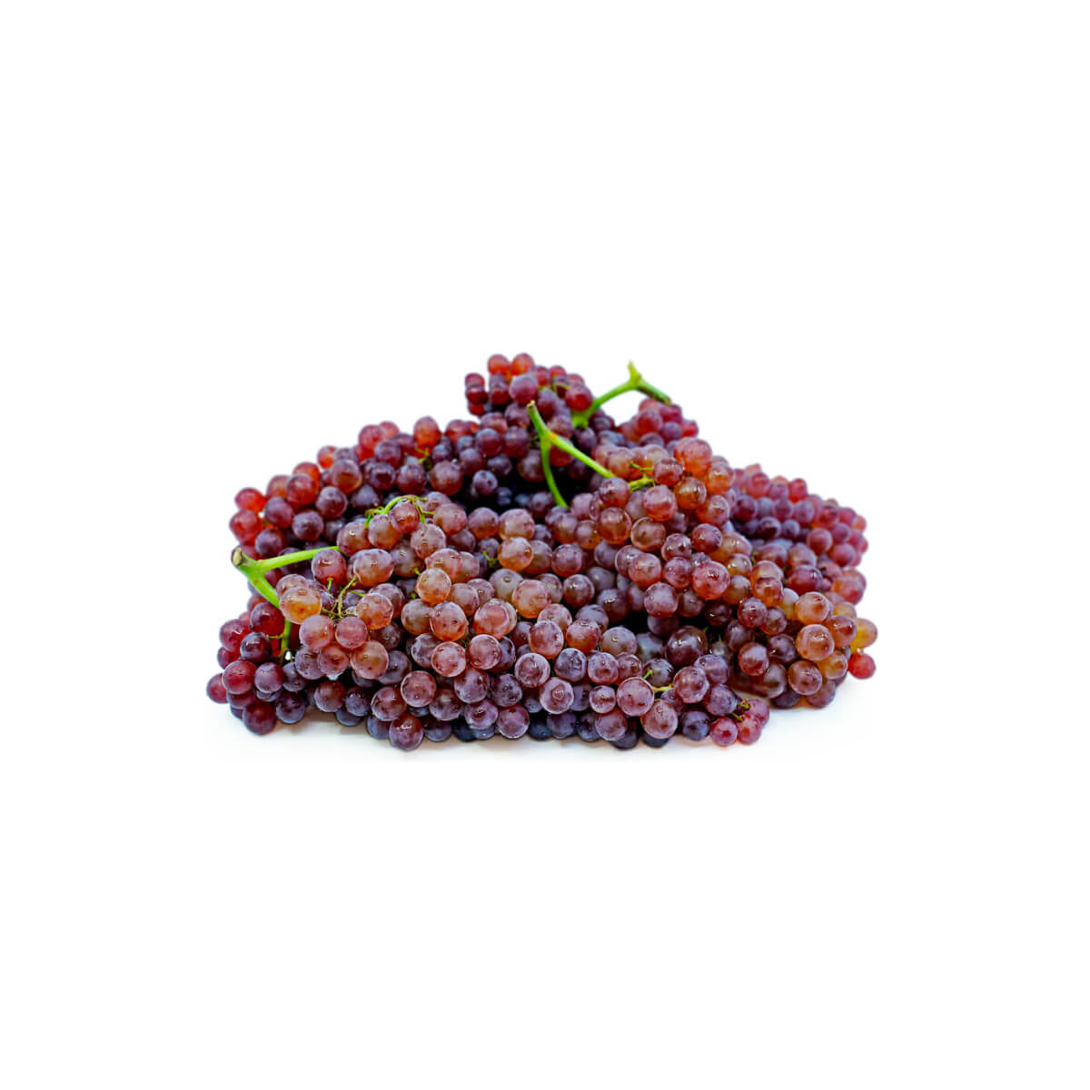 Red Currant Grapes Iran 800g Pack