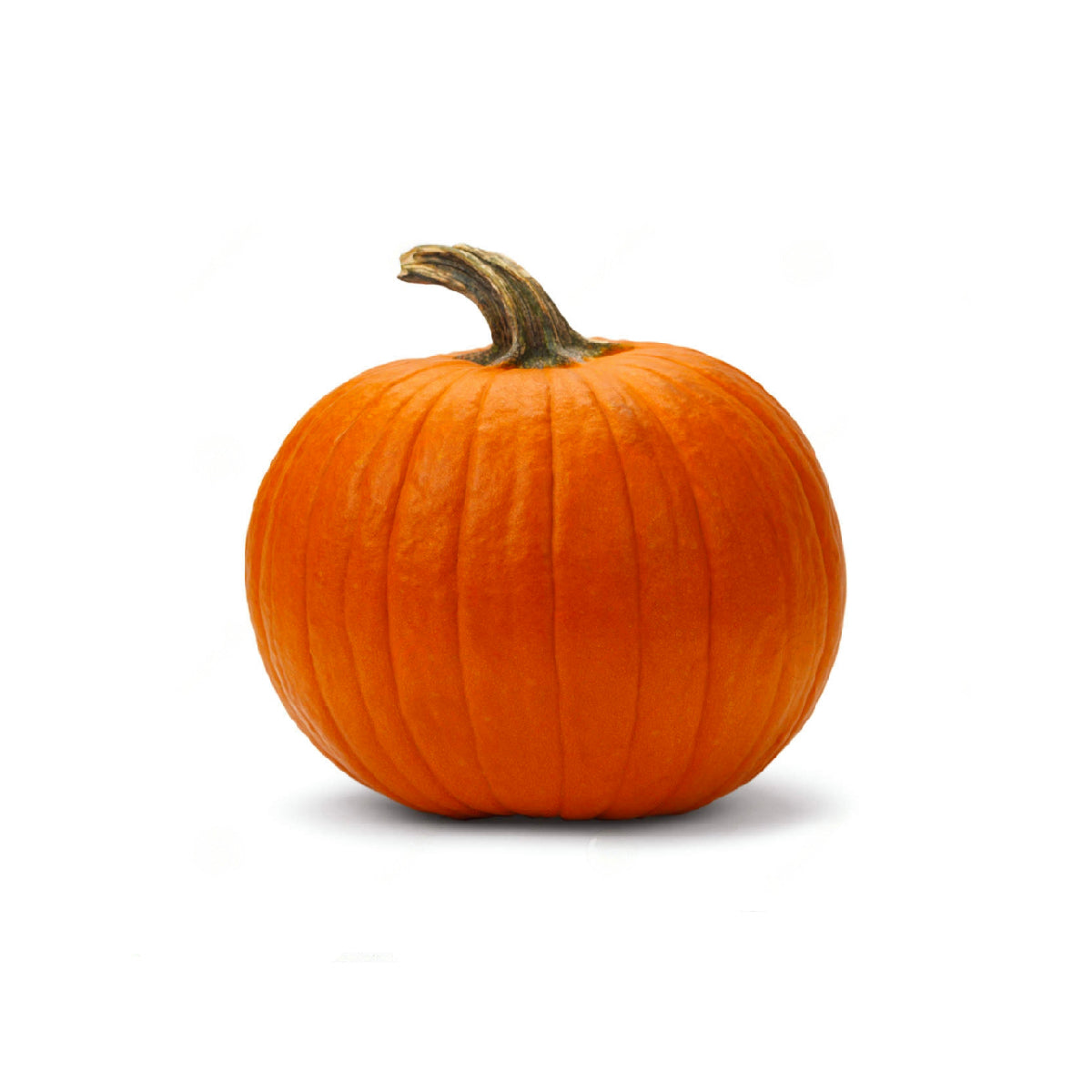 Halloween Pumpkin Spain 2.5-3 Kg Piece