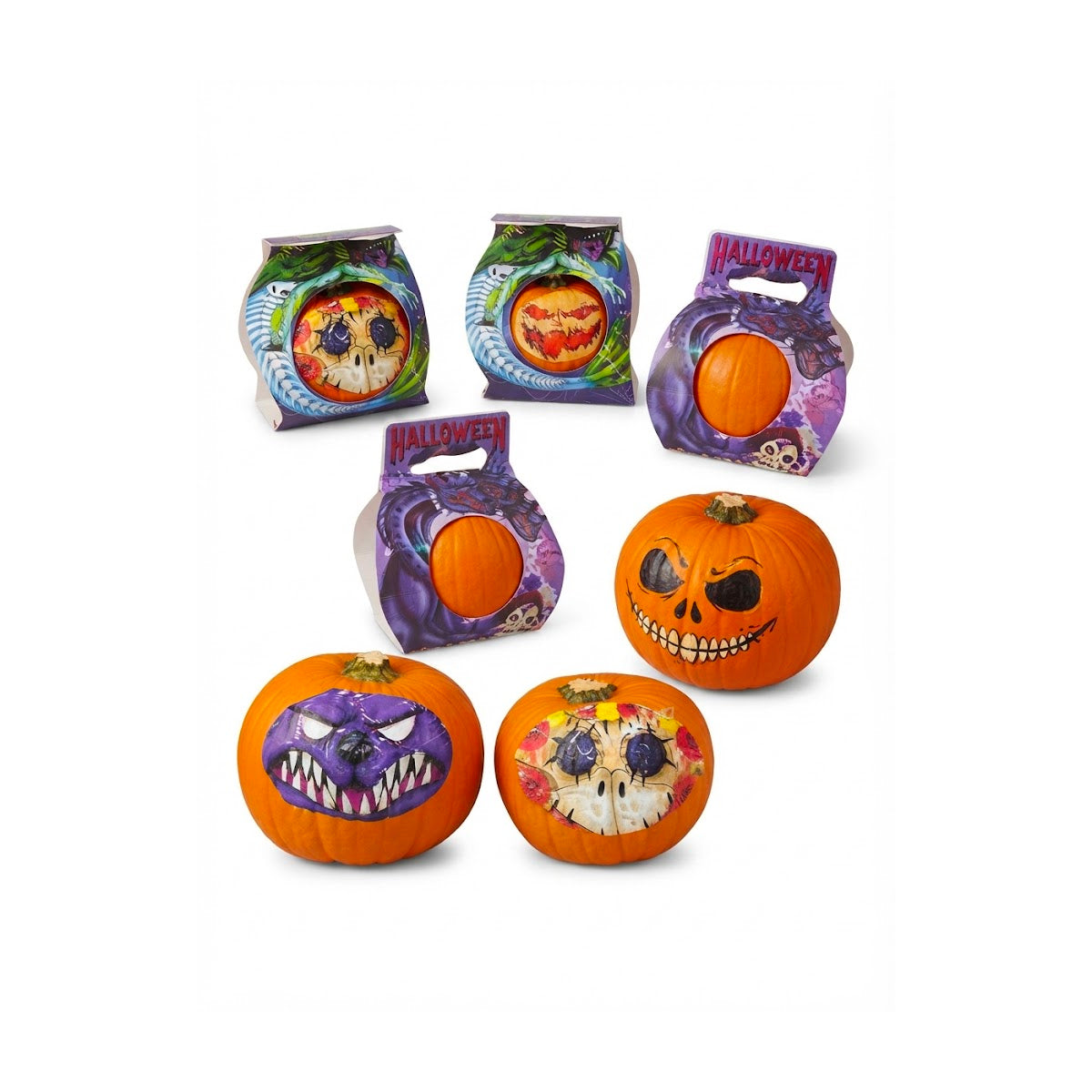 Halloween Pumpkin Spain Approx 1.2 to 1.8Kg Piece
