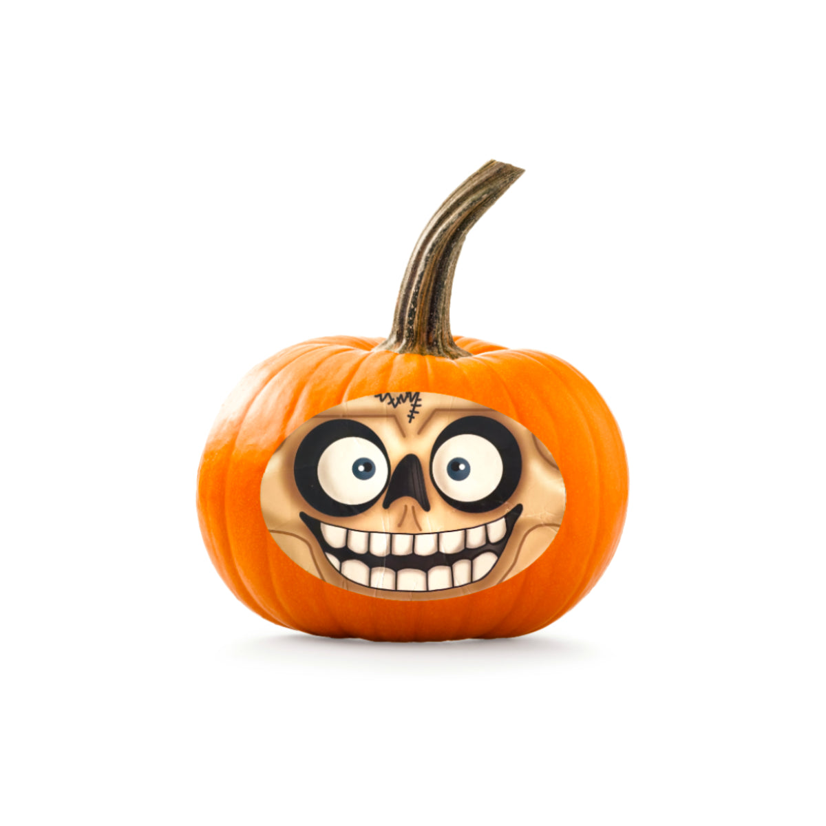 Halloween Pumpkin Spain 1.2-1.8Kg Piece