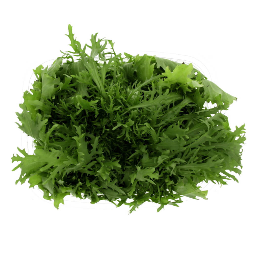 Lettuce Frissee Green Netherlands 1 Piece
