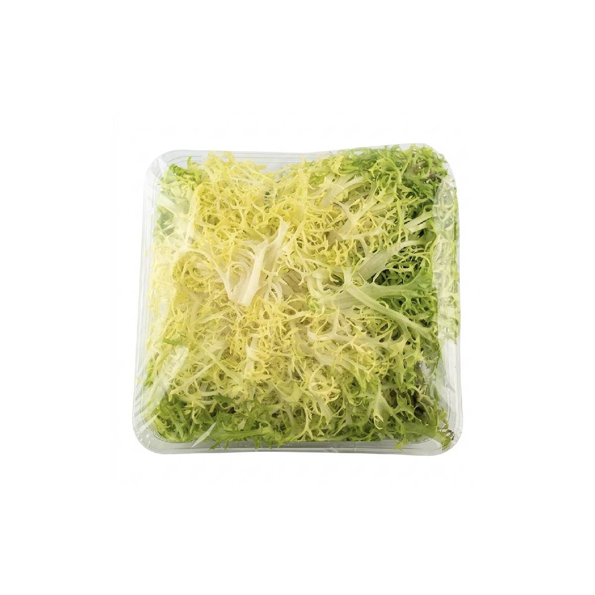 Yellow Lettuce Frisee Netherlands 1 Piece
