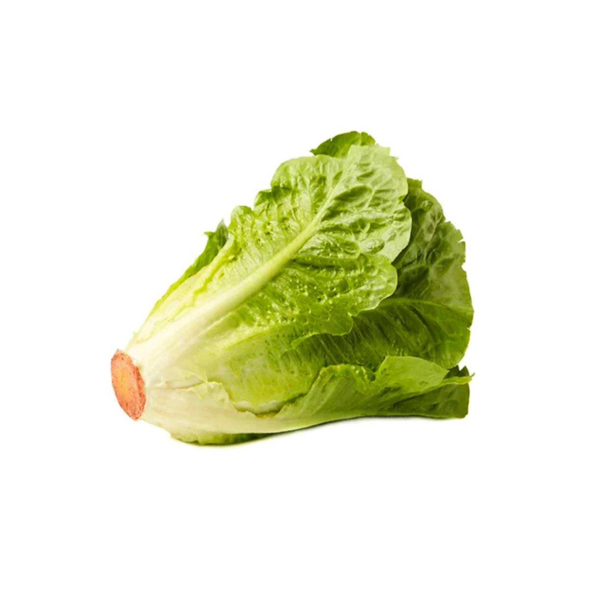 Lettuce Uae 600g-700g Piece