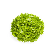 Lettuce Lollo Bionde Netherlands 1 Piece