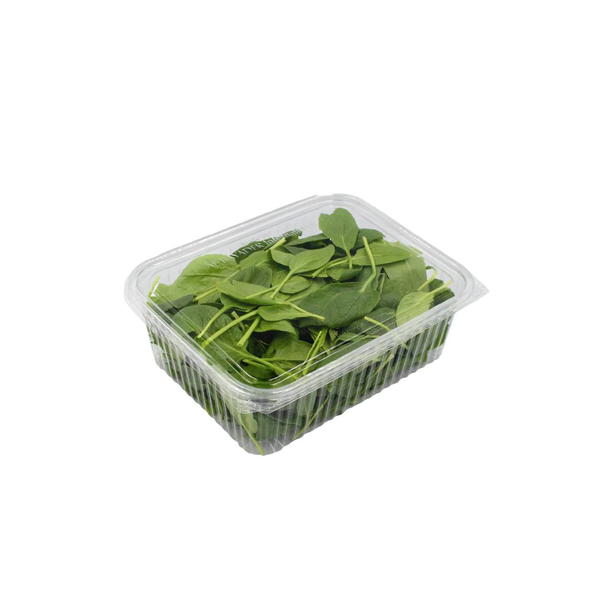 Spinach Leaves Italy 100g Pack