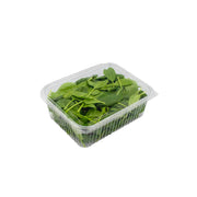 Spinach Leaves Italy 100g Pack