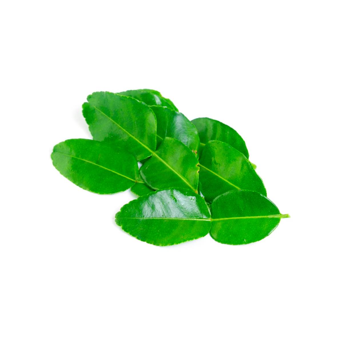 Lime Leaves Thailand 250g