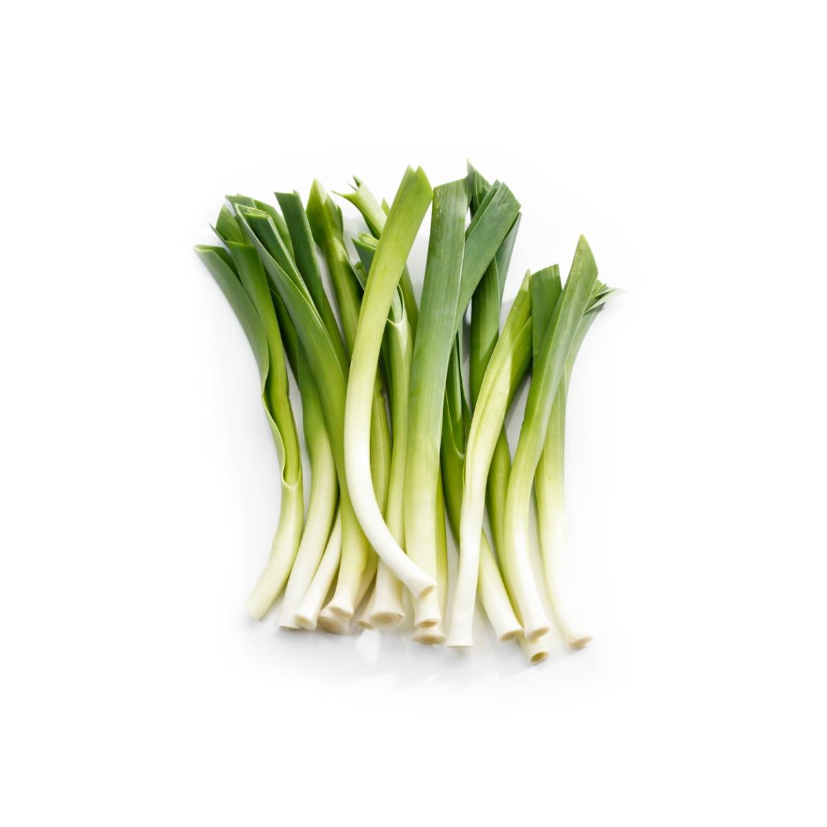 Mini Leeks South Africa 200g Pack