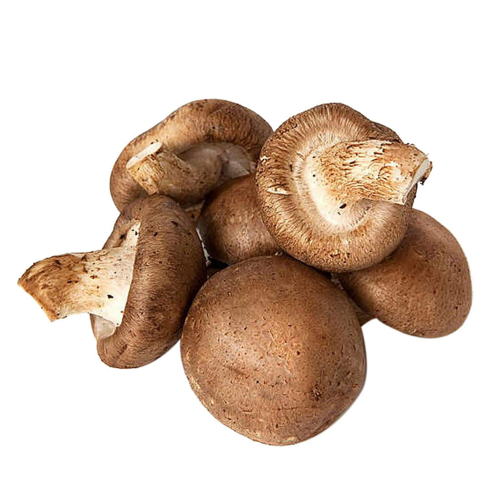 Mushroom Shitake Thailand 1 Kg