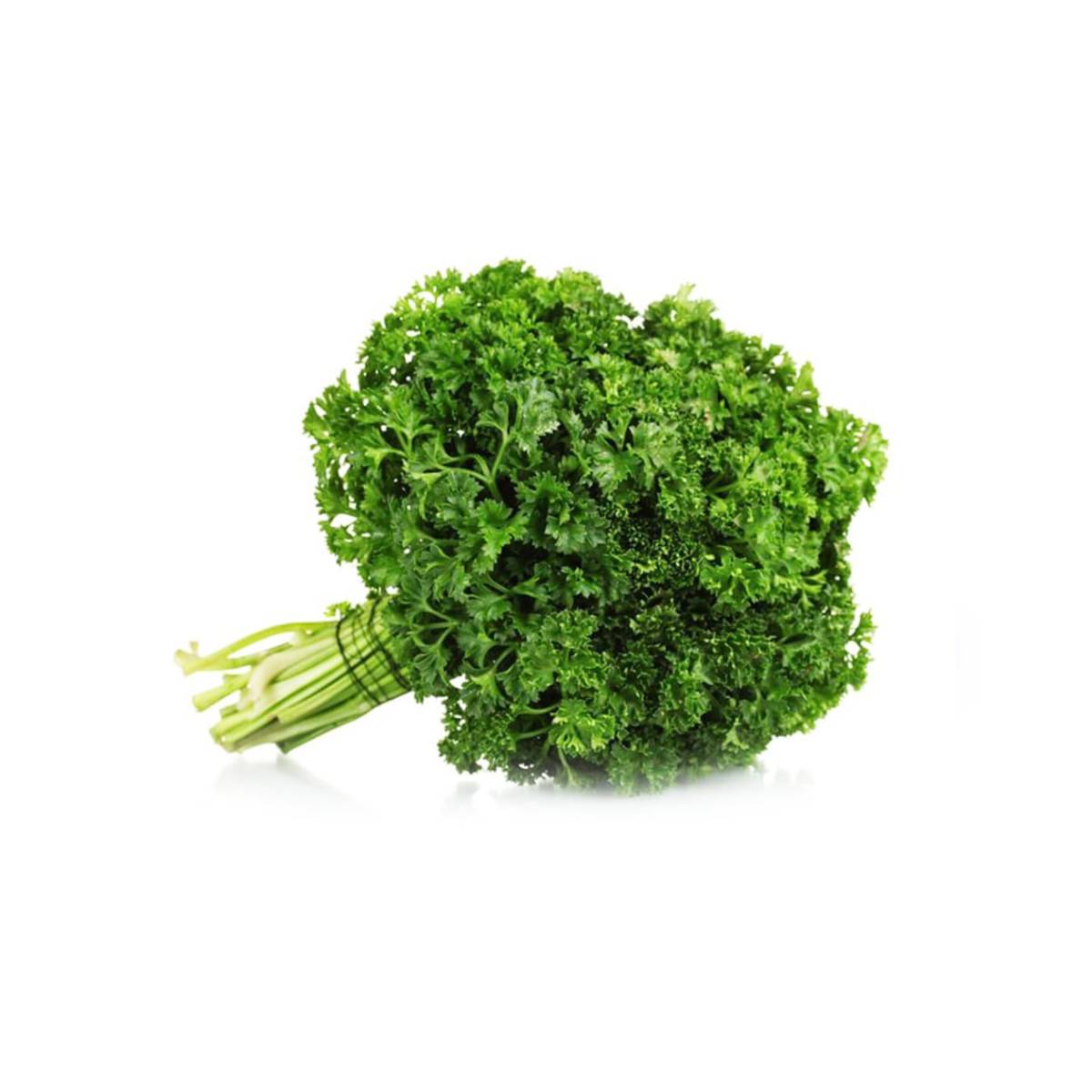 Parsley Netherlands 500g
