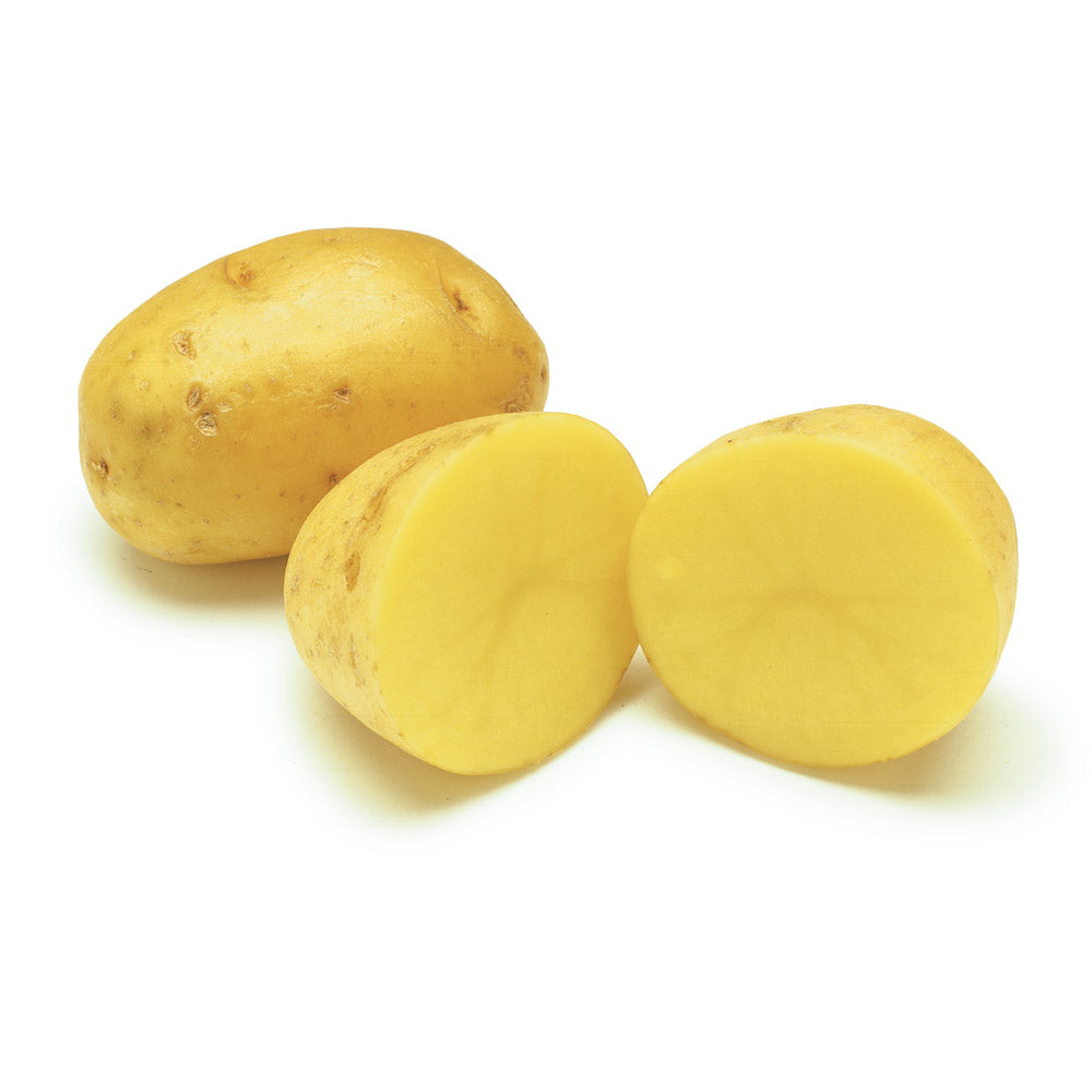Potato France 1 Kg