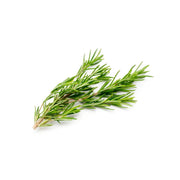 Rosemary Kenya 50g Pack