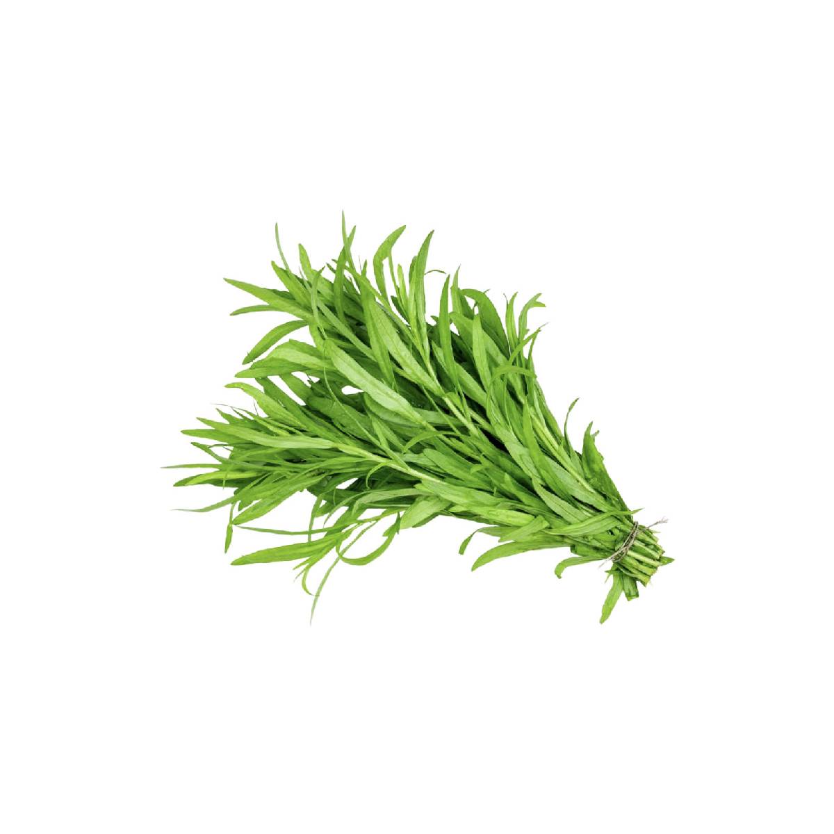 Tarragon UAE 50g Pack