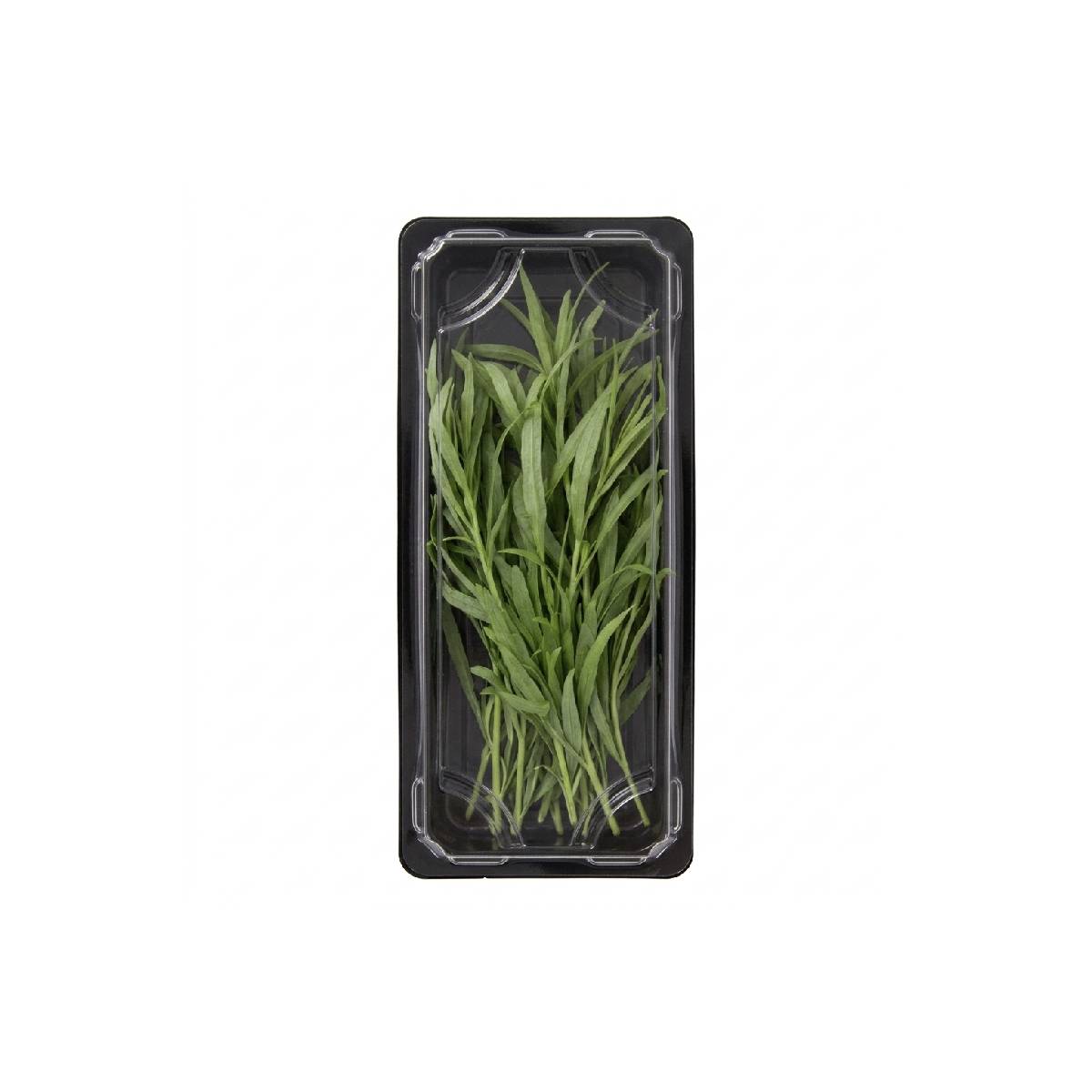 Tarragon UAE 50g Pack