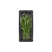 Tarragon UAE 50g Pack