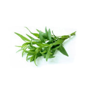 Tarragon Uae 50g Pack