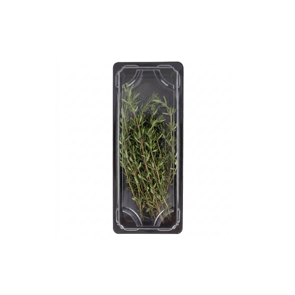 Thyme Kenya 50g Pack