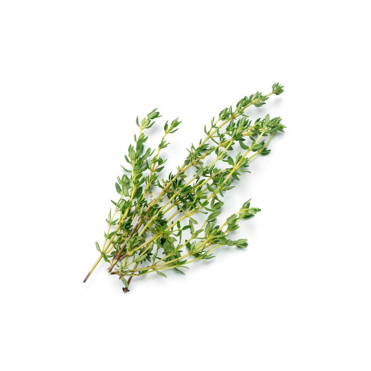 Thyme Kenya 50g Pack