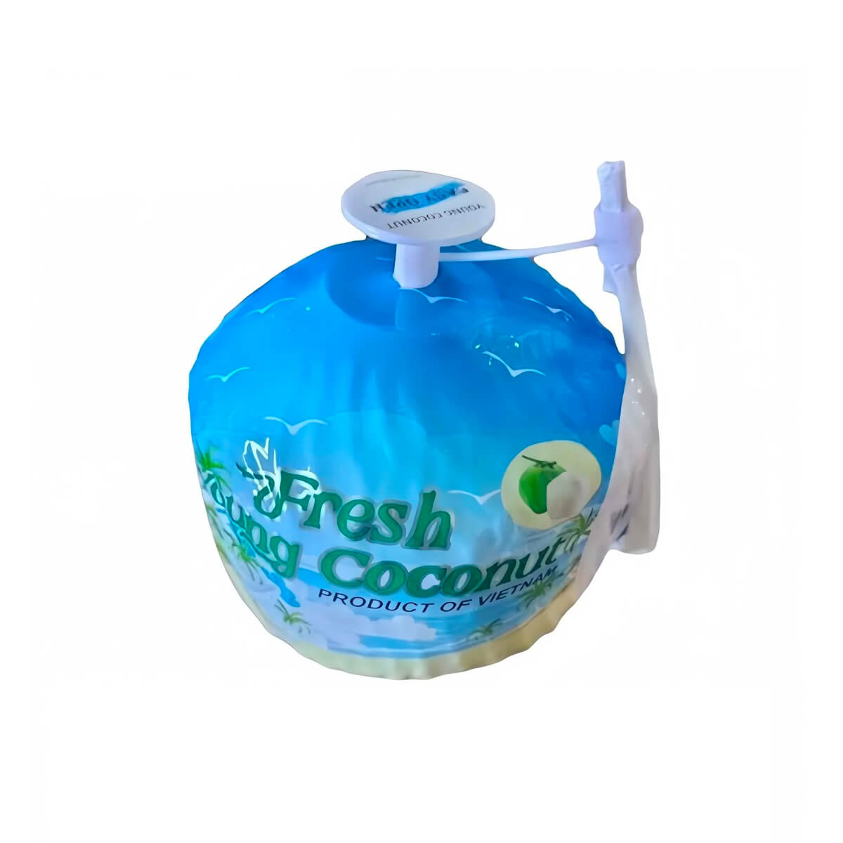Coconut Vietnam 500g Piece