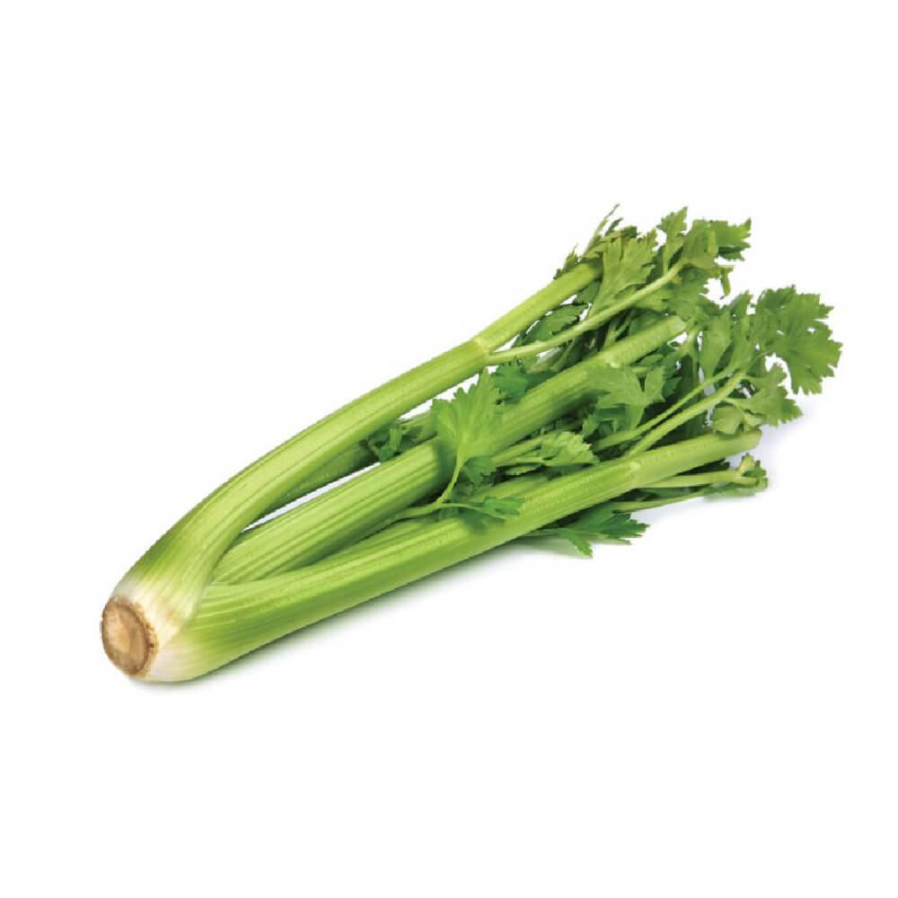 Celery Sticks Netherlands 1 Kg