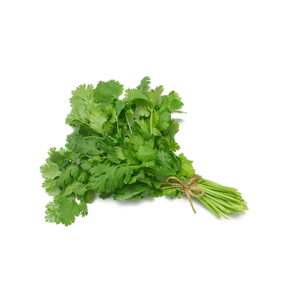 Coriander Organic Uae 1 Bunch