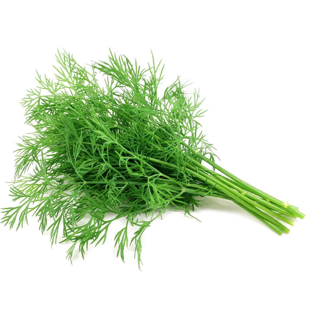 Dill Organic Uae 1 Bunch