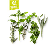 Organic Herbs Uae 1 Bunch