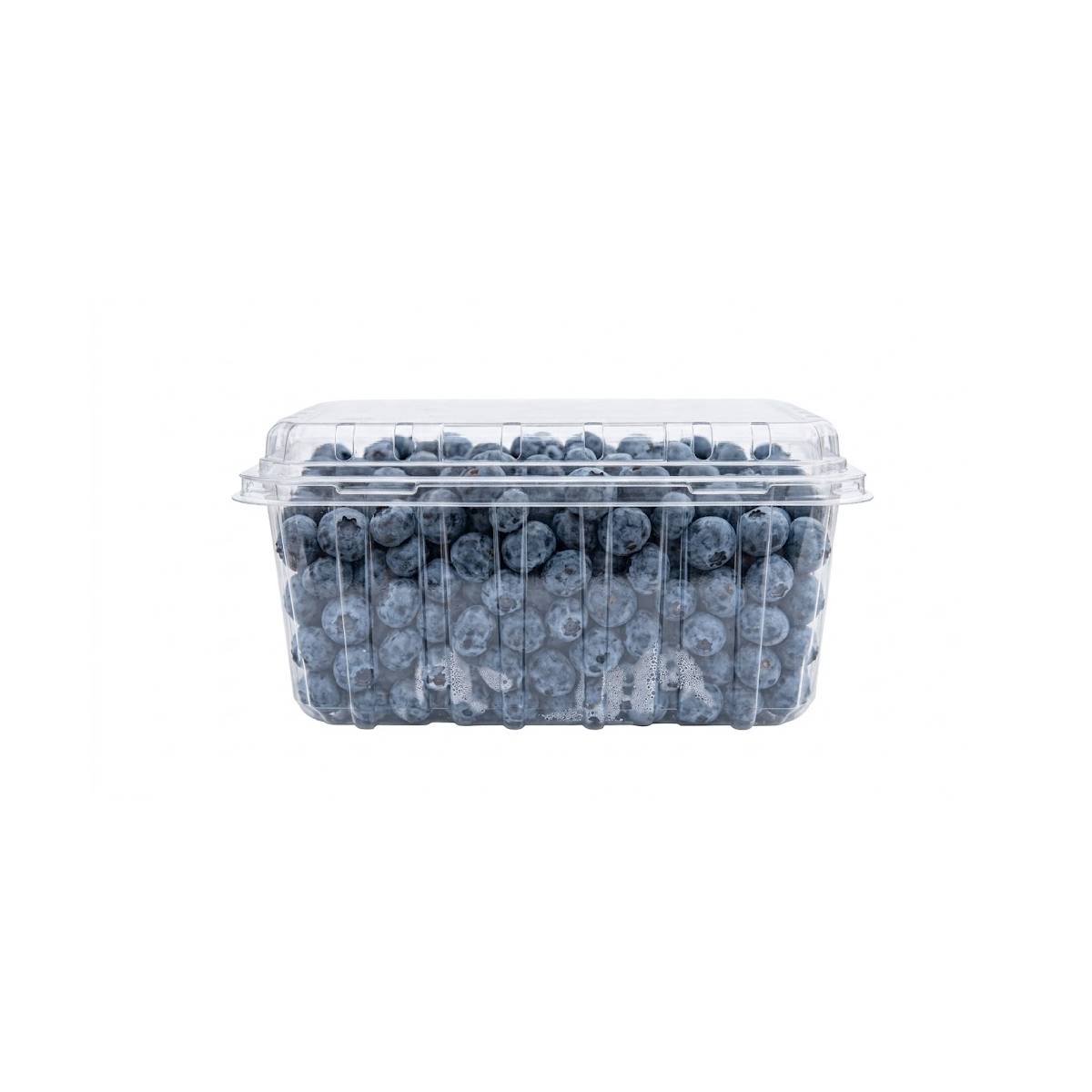 Blueberry Namibia 1kg Packet