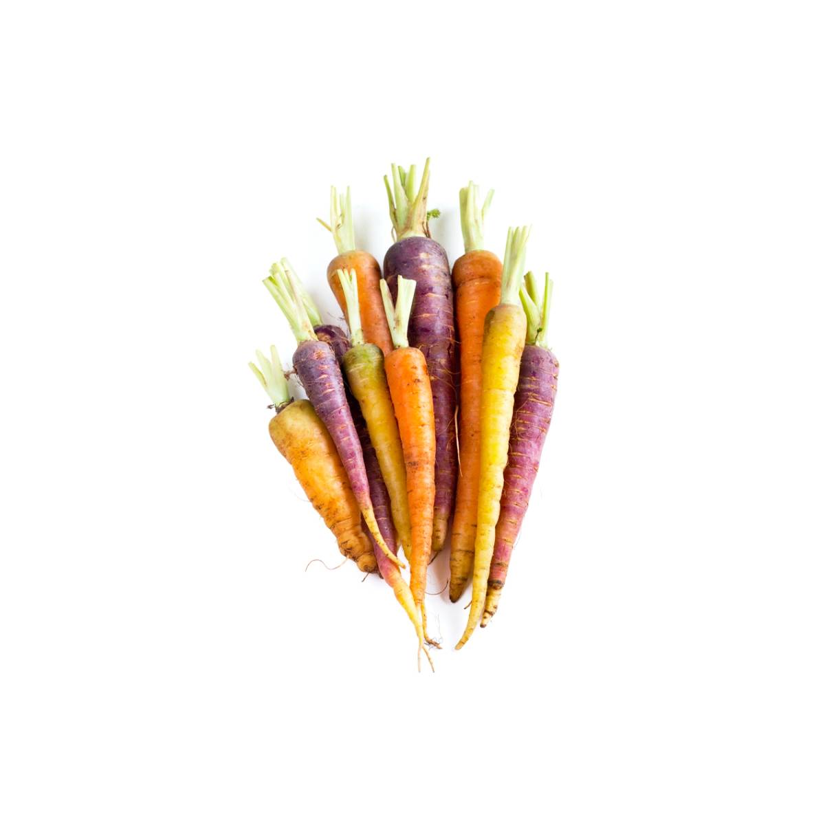 Mini Rainbow Carrot South Africa 200g Pack