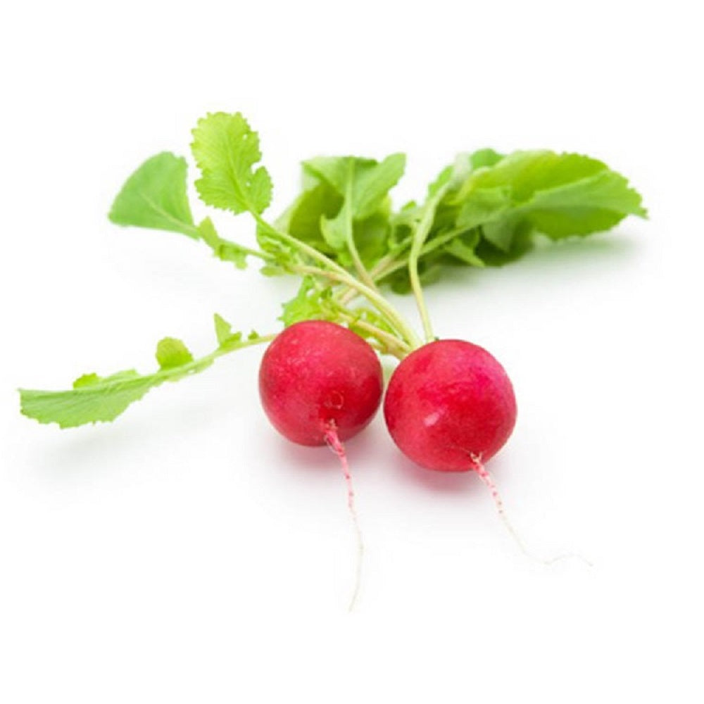 Red Radish Netherlands 125g Pack