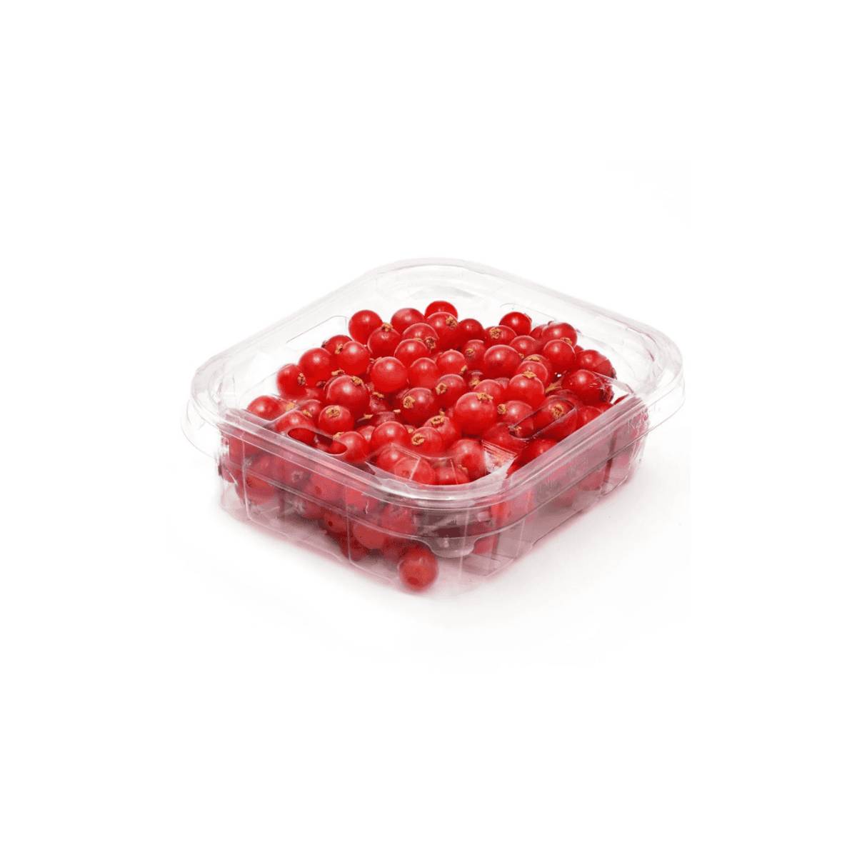 Red Currants Netherlands 125g