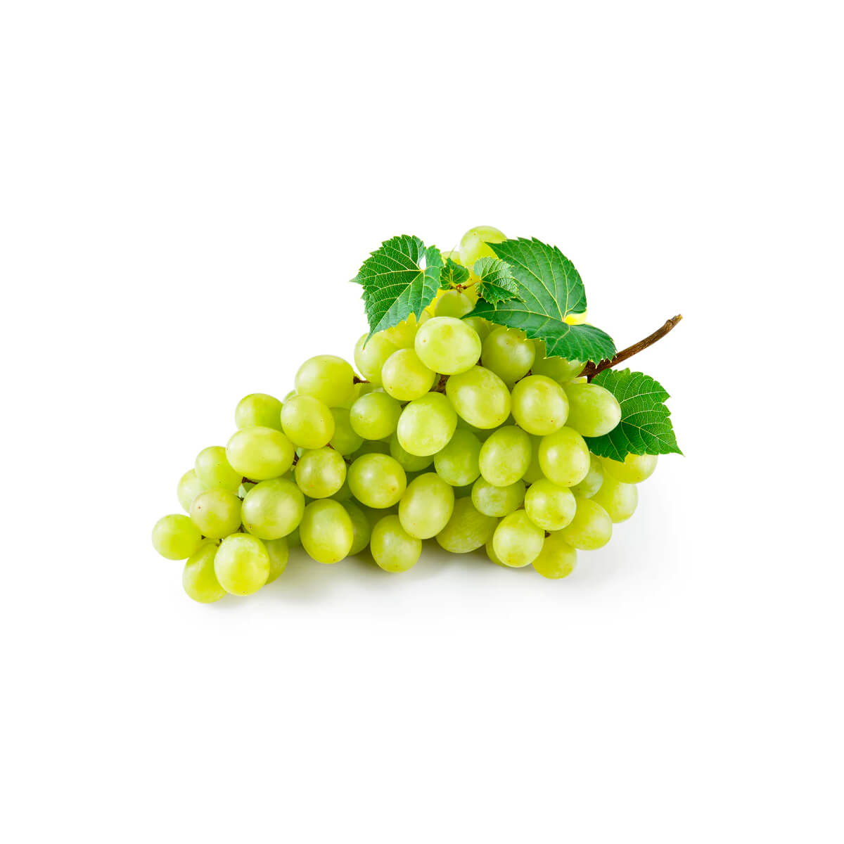 White Grapes Lebanon 1 Kg