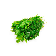 Curry Leaves India 250g