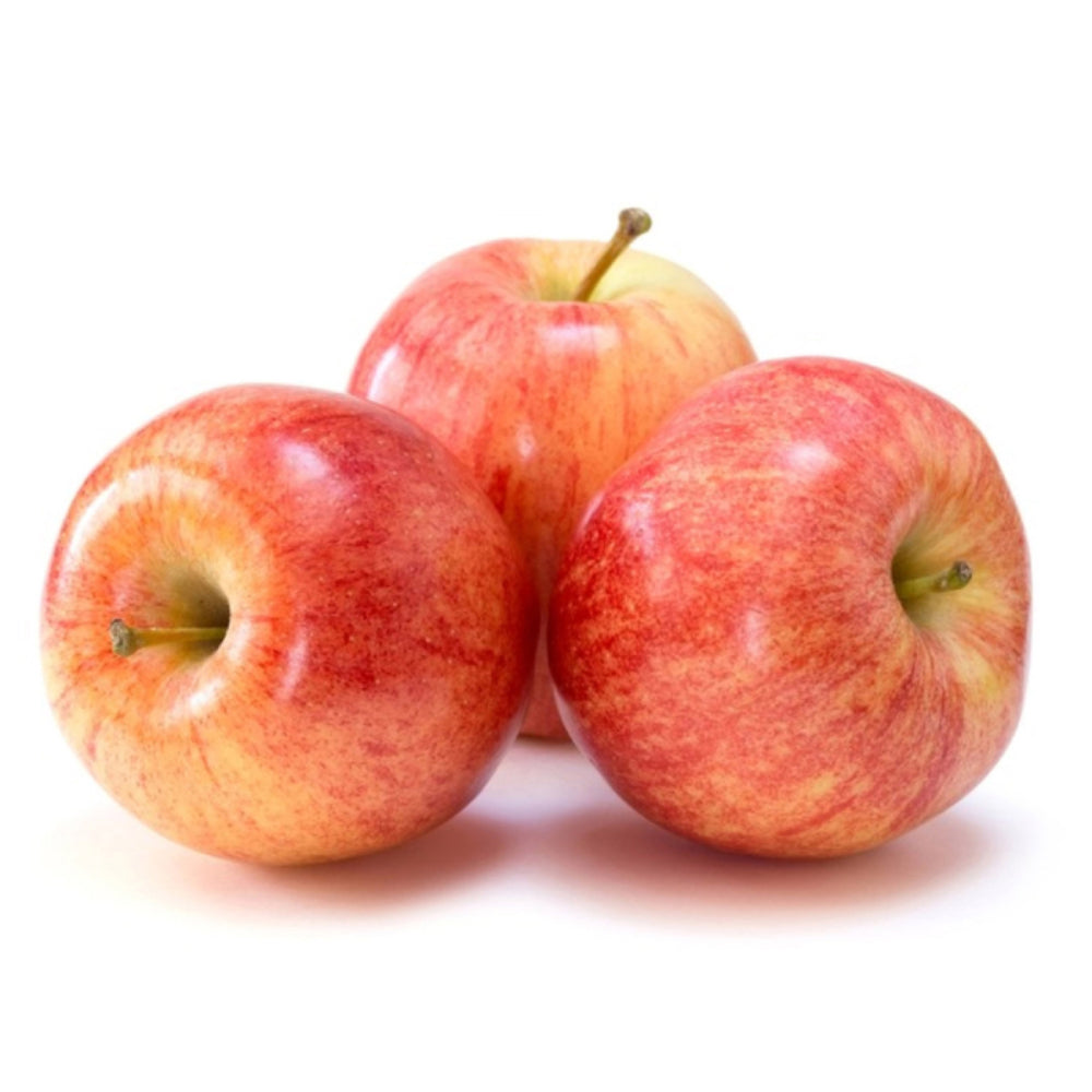 Apple Gala Nova France 1 Kg
