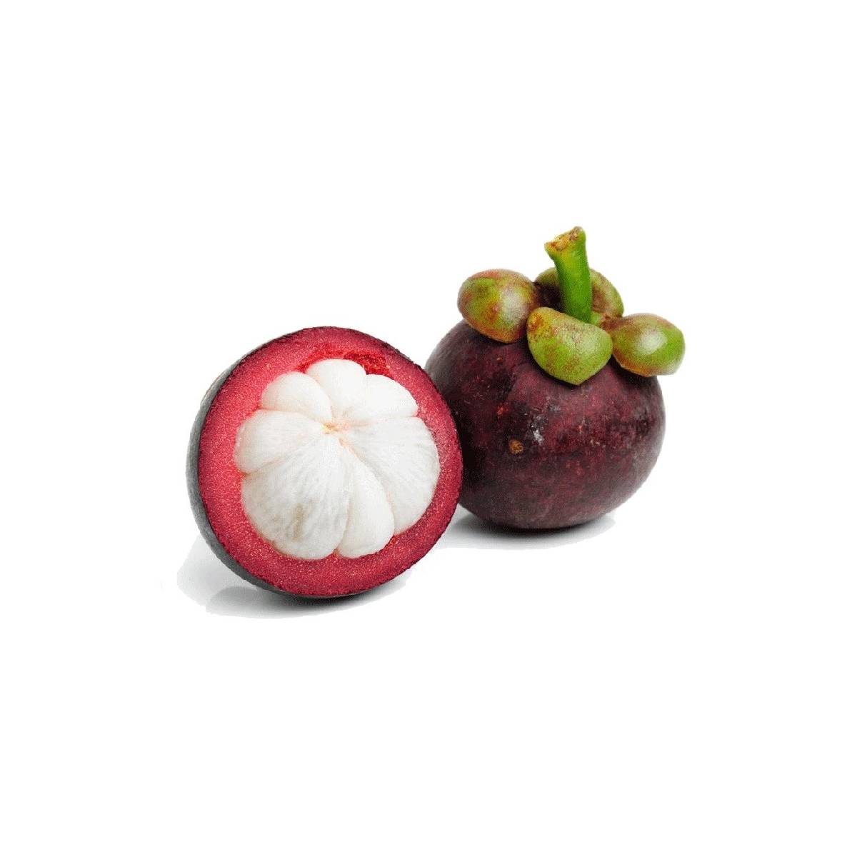 Mangosteen Indonesia 500g Packet