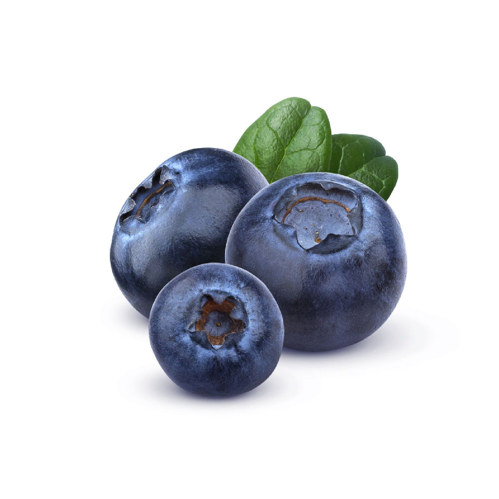 Driscoll's Blueberry South Africa 125g Pack