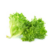 Lettuce Lollo Bionde Uae 125g Pack
