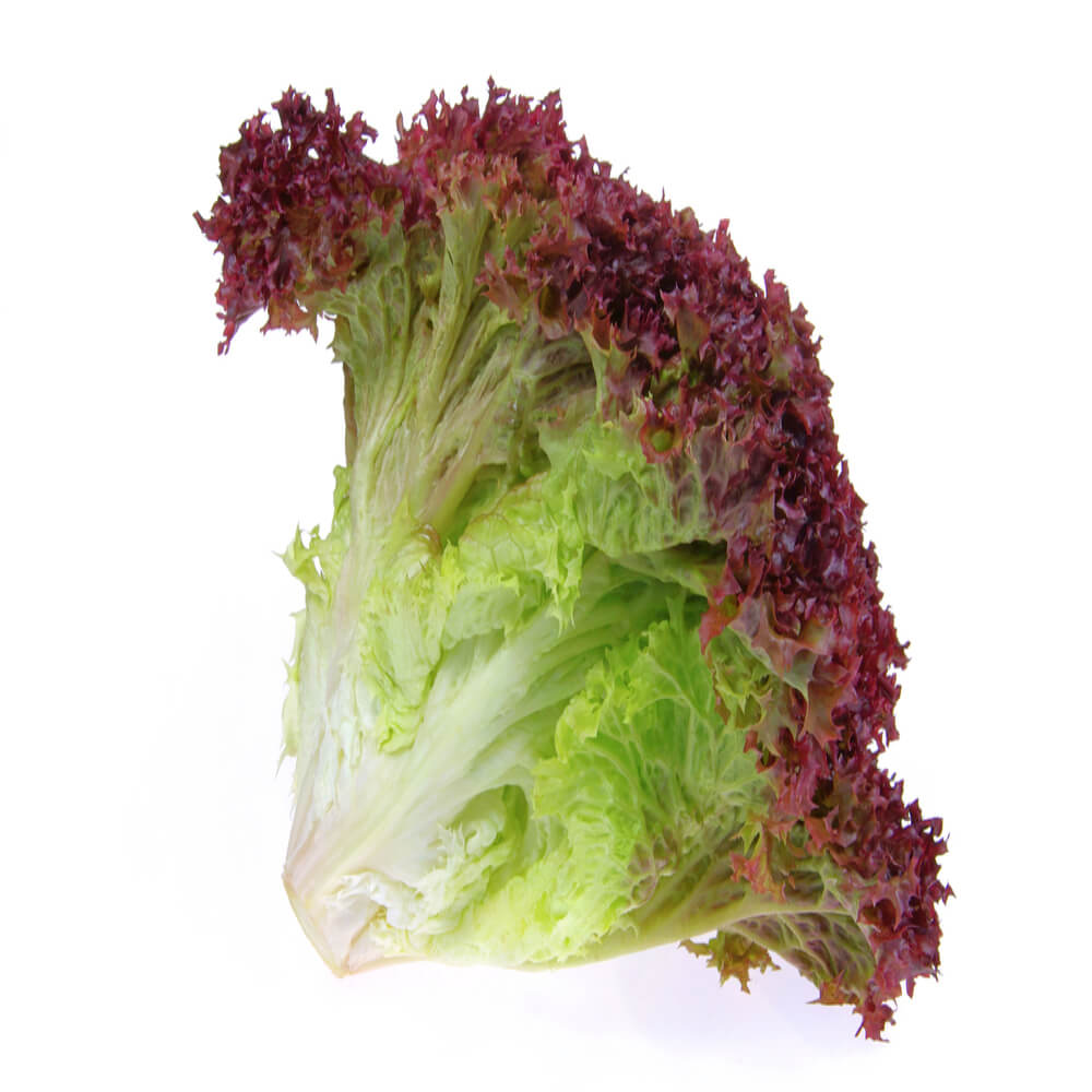 Lettuce Lollo Rosso Uae 125g Pack