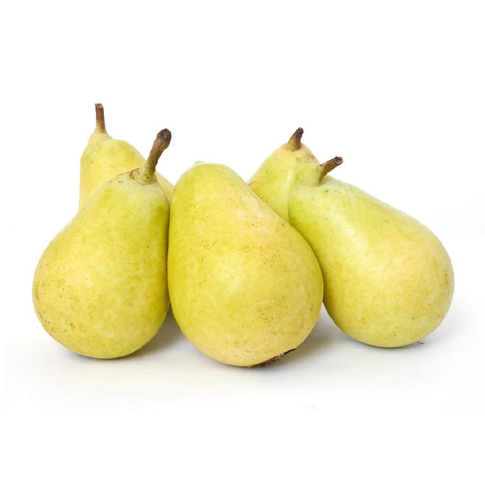 Pears Coscia Lebanon 500g
