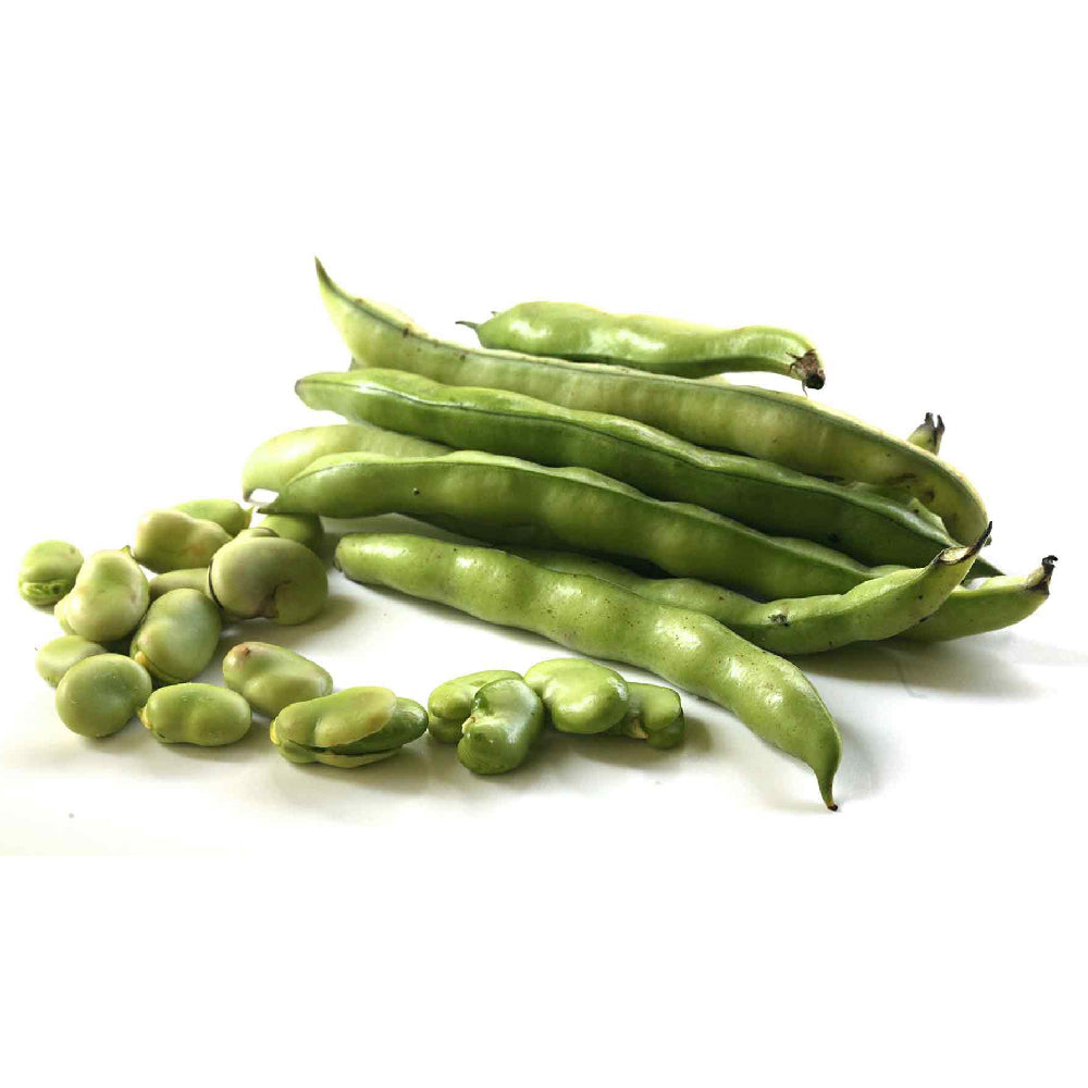 Broad Beans Egypt 1 Kg